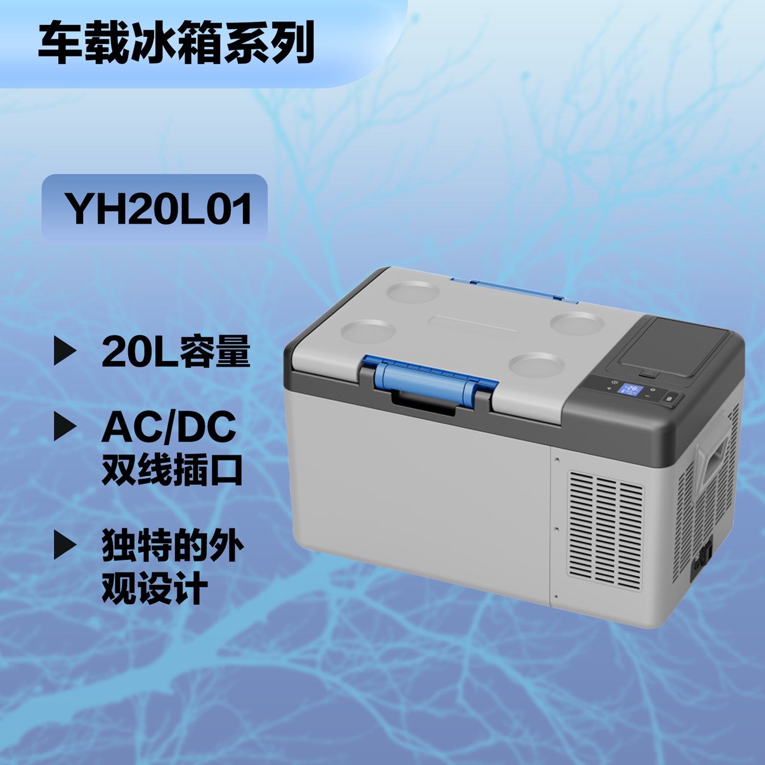 YH20L01